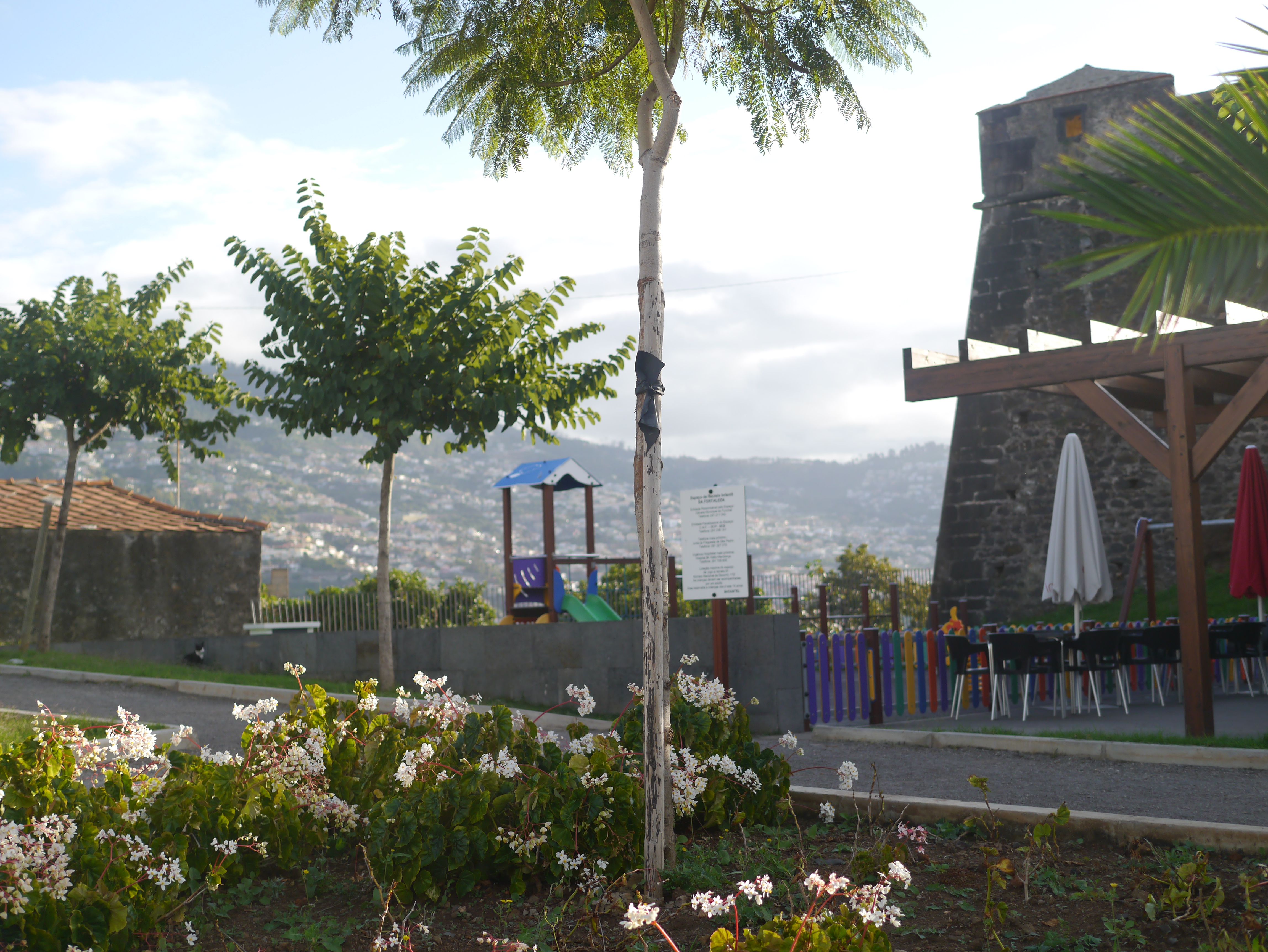 cafe fortaleza