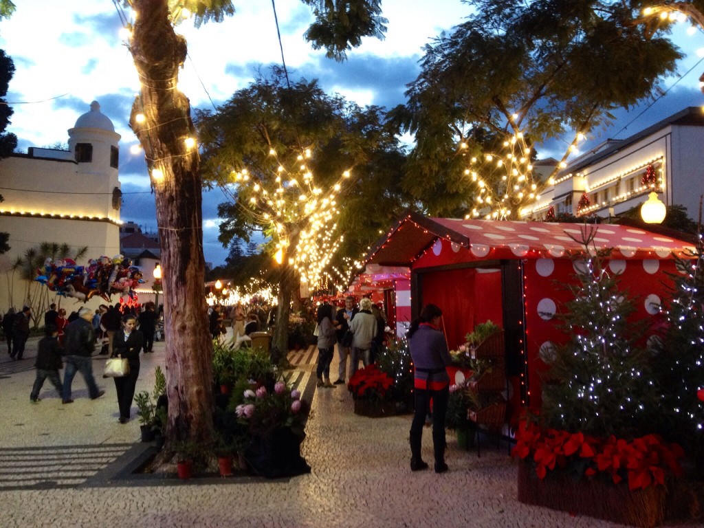 Avenida Arriaga , Xmas Time