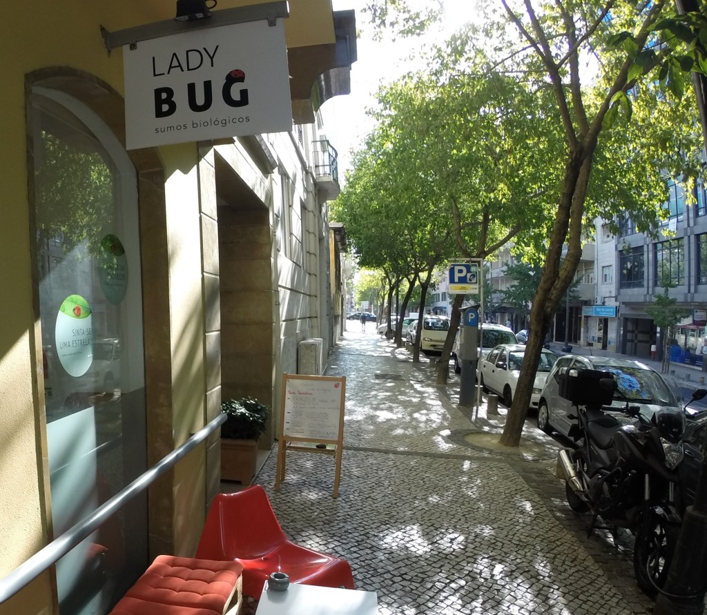 Lady Bug