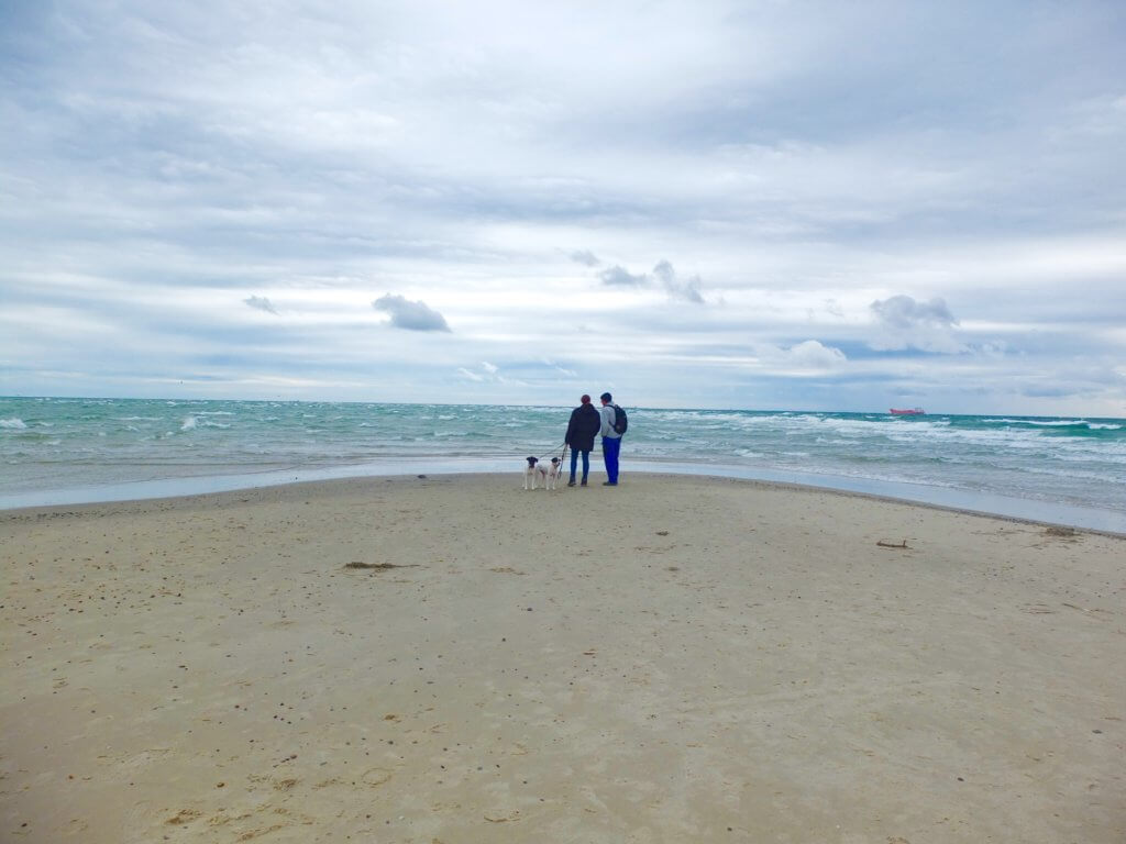 Grenen