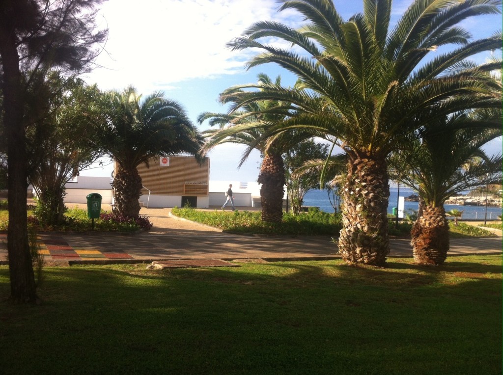 20131109-080336.jpg