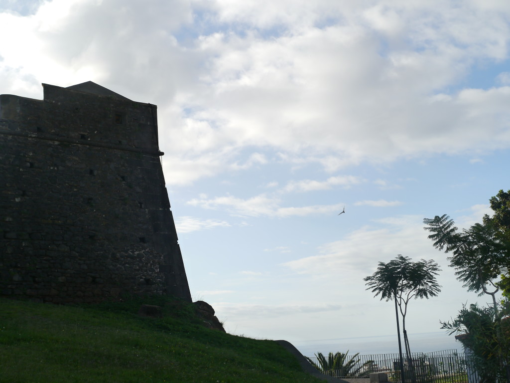 P1040086