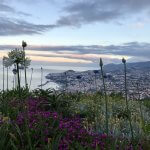 new-years-eve-madeira