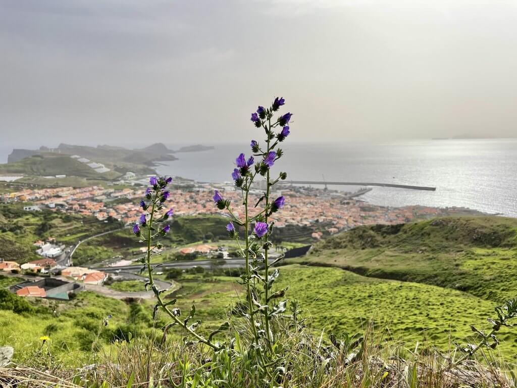 half day walks in madeira