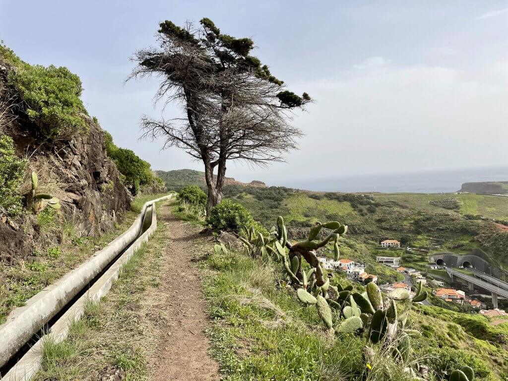 half day walks in madeira