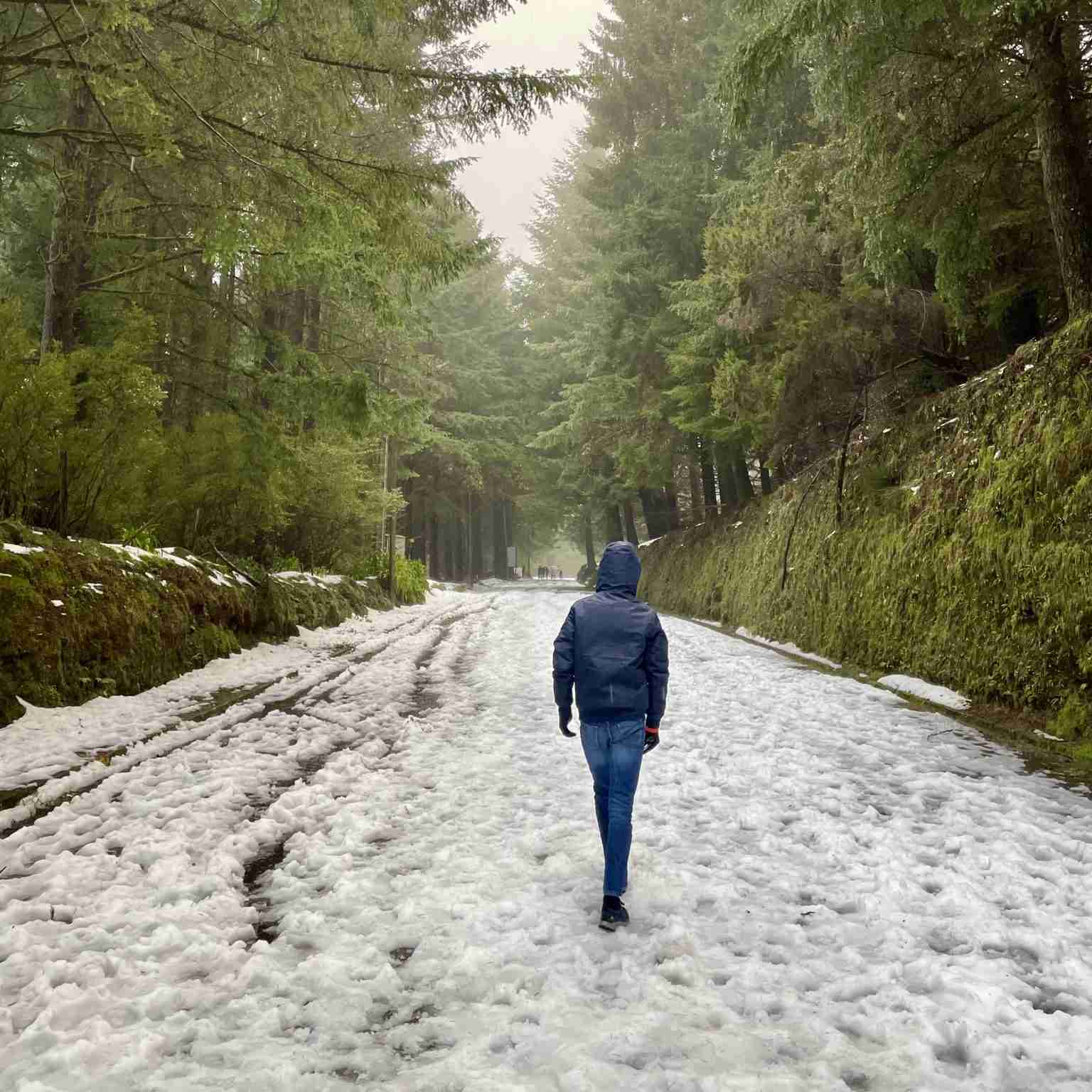 Snow in pico do areeiro madeira